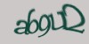 Tekshiruvchi kod